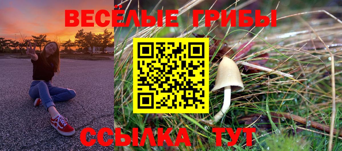 Миллерово  Псилоцибиновые грибы мухоморы  Вход с VPN 
